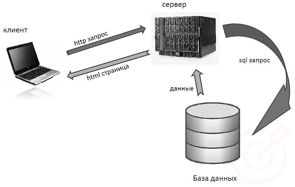 RuTopia - Основные понятия в web-разработке